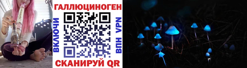 Купить  Тбилисская  Псилоцибиновые грибы мицелий 